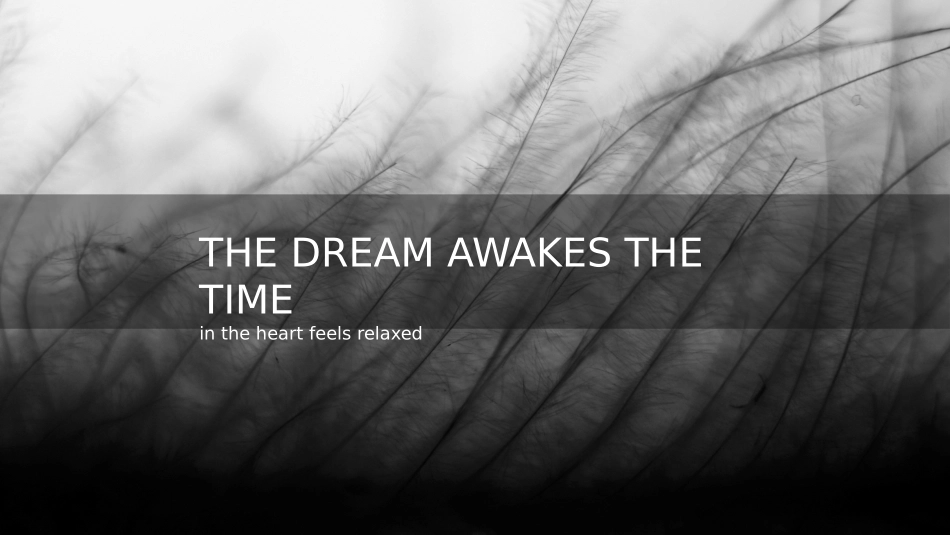 素雅黑灰图文排版PPT模板(精品).pptx_第1页