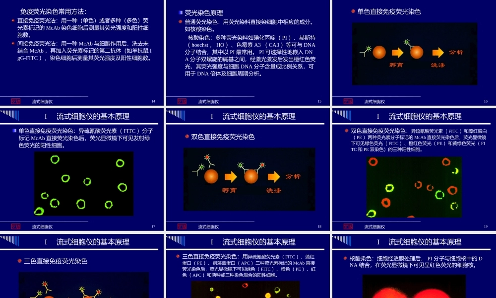 流式细胞仪(2014年).ppt
