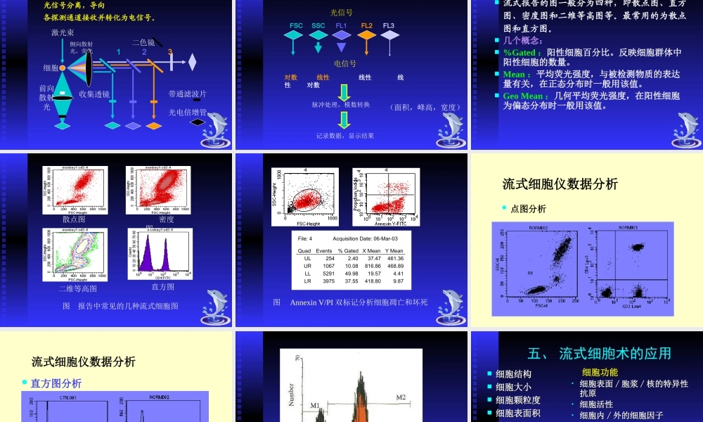 流式细胞仪检测凋亡和细胞周期等应用.ppt