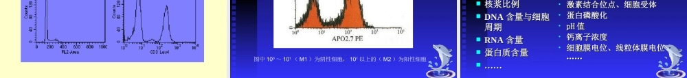 流式细胞仪检测凋亡和细胞周期等应用.ppt