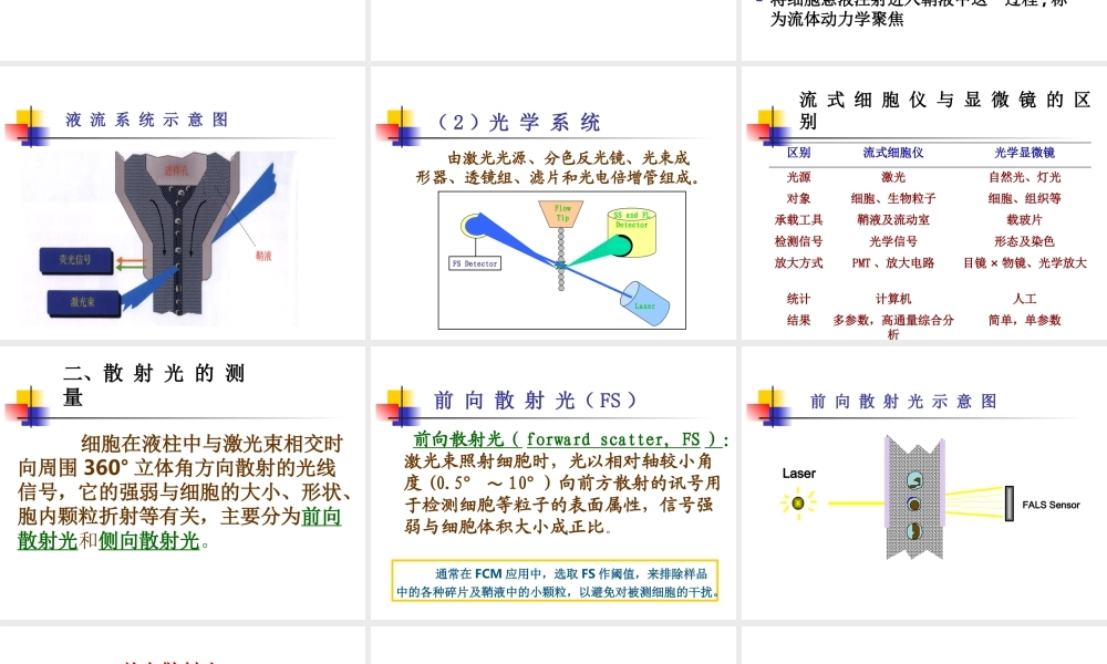 流式细胞仪的原理.ppt