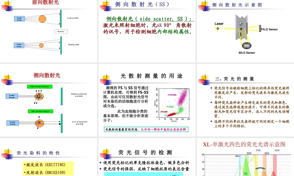 流式细胞仪的原理.ppt