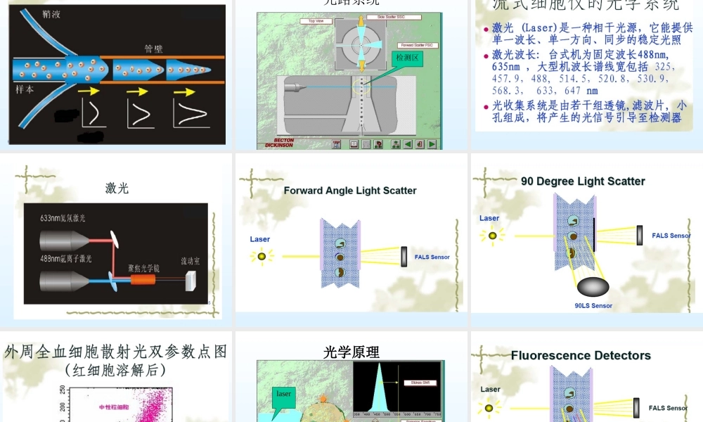 流式细胞术原理及应用(新).ppt