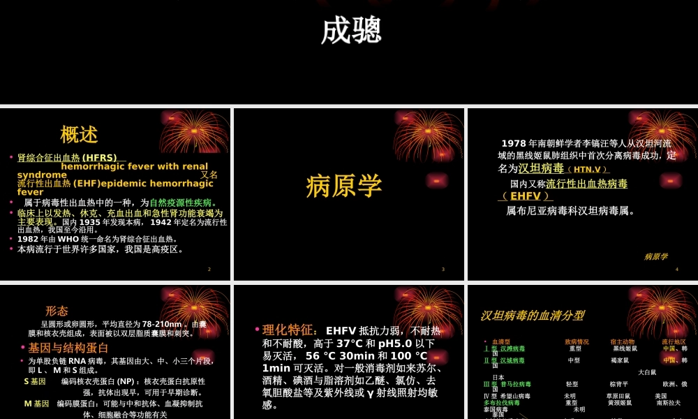 流行性出血热(HFRS).ppt