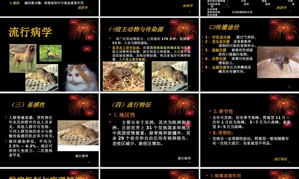 流行性出血热(HFRS).ppt