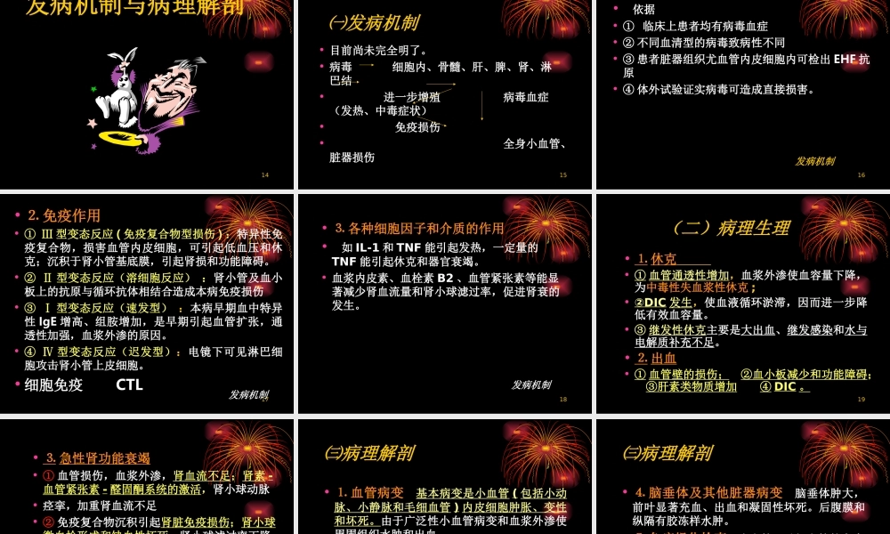 流行性出血热(HFRS).ppt