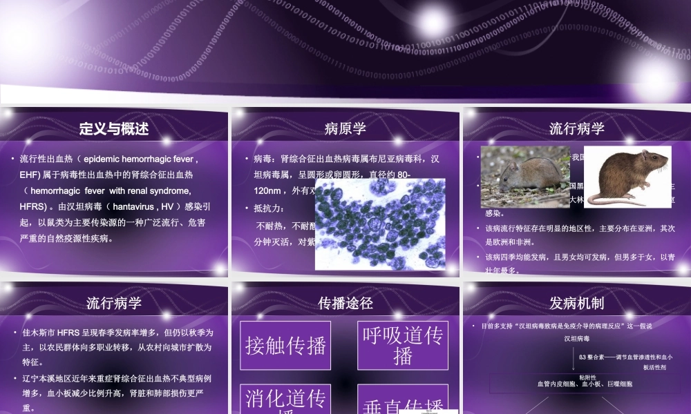 流行性出血热徐忠良.pptx