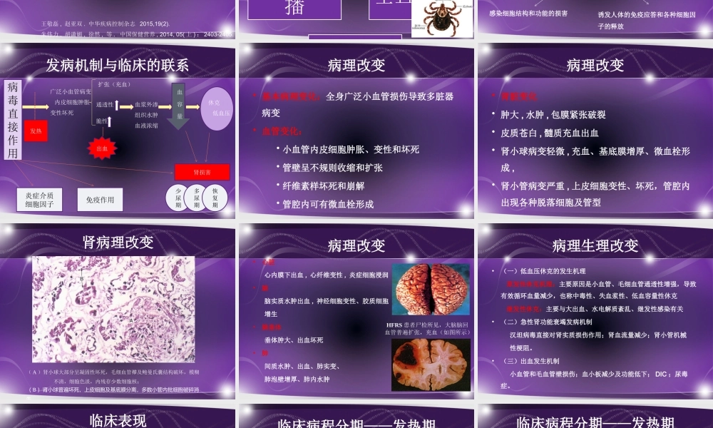 流行性出血热徐忠良.pptx