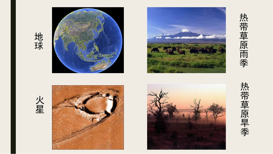 细胞中的无机物—水.pptx_第1页