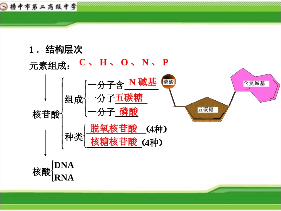 细胞中的核酸...ppt_第2页