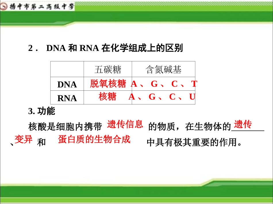 细胞中的核酸...ppt_第3页