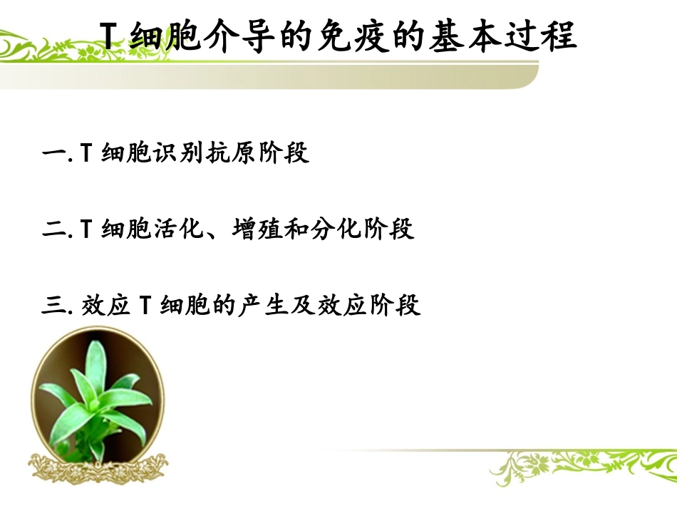 细胞介导的免疫.ppt_第3页