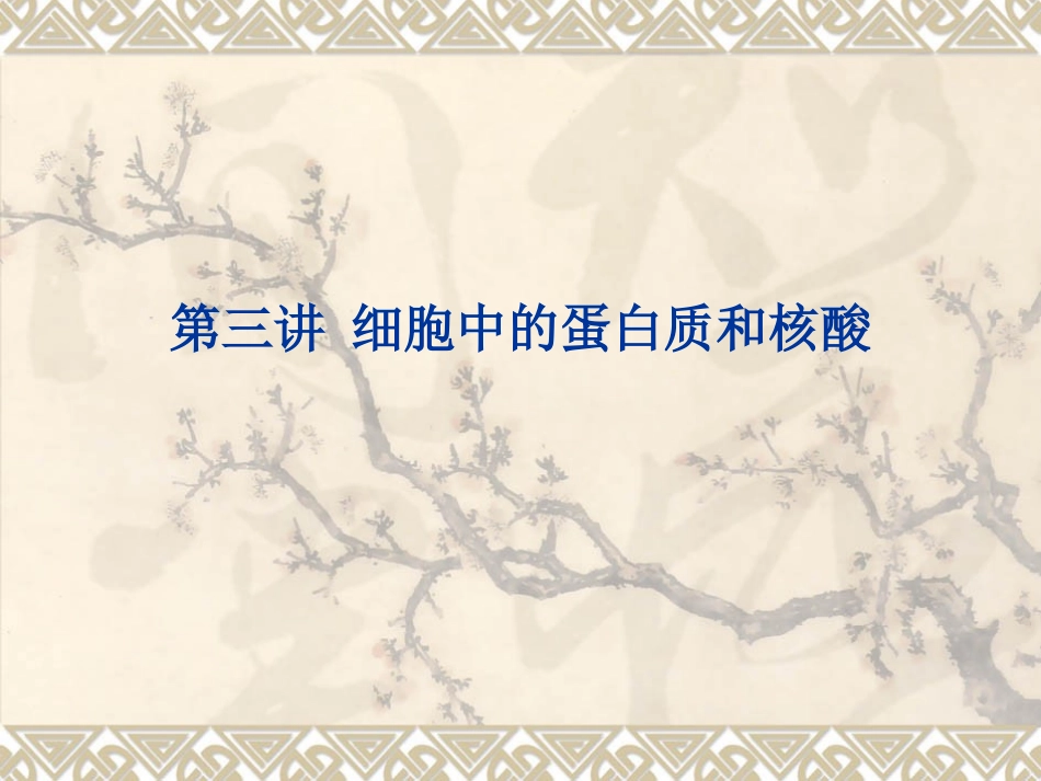 细胞中的蛋白质和核酸.ppt_第1页