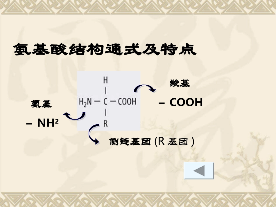 细胞中的蛋白质和核酸.ppt_第3页