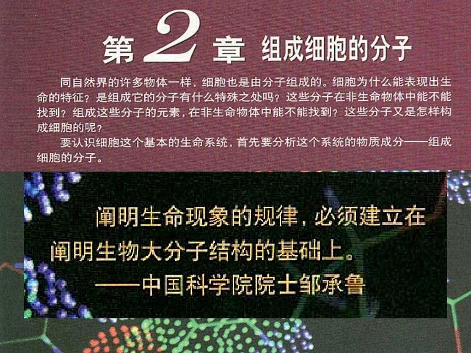 细胞元素化合物.ppt_第2页