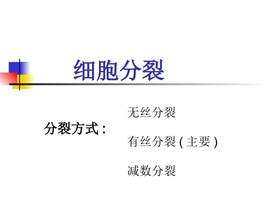 细胞分裂.ppt_第1页