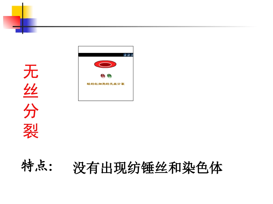 细胞分裂.ppt_第2页
