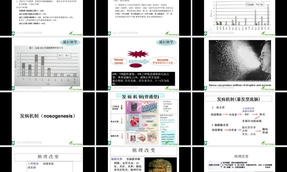 流行性脑脊髓膜炎.pptx