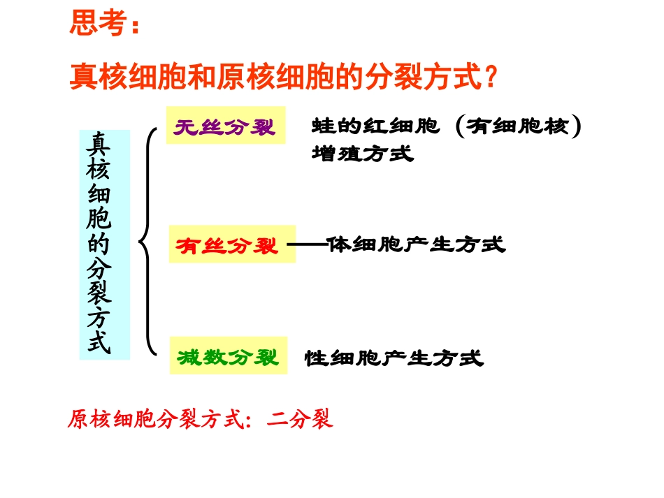 细胞分裂复习课-(1).ppt_第2页