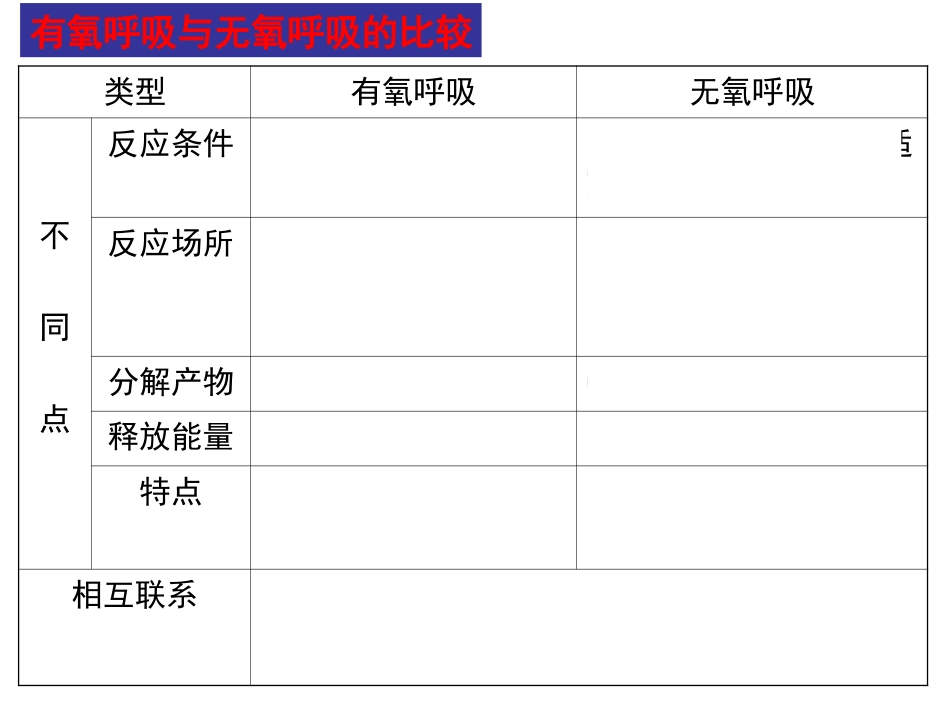 细胞呼吸及光合作用.ppt_第1页