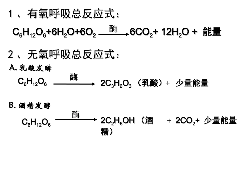 细胞呼吸及光合作用.ppt_第2页