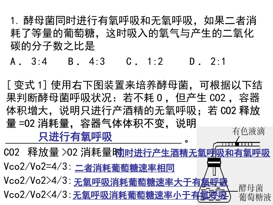 细胞呼吸及光合作用.ppt_第3页