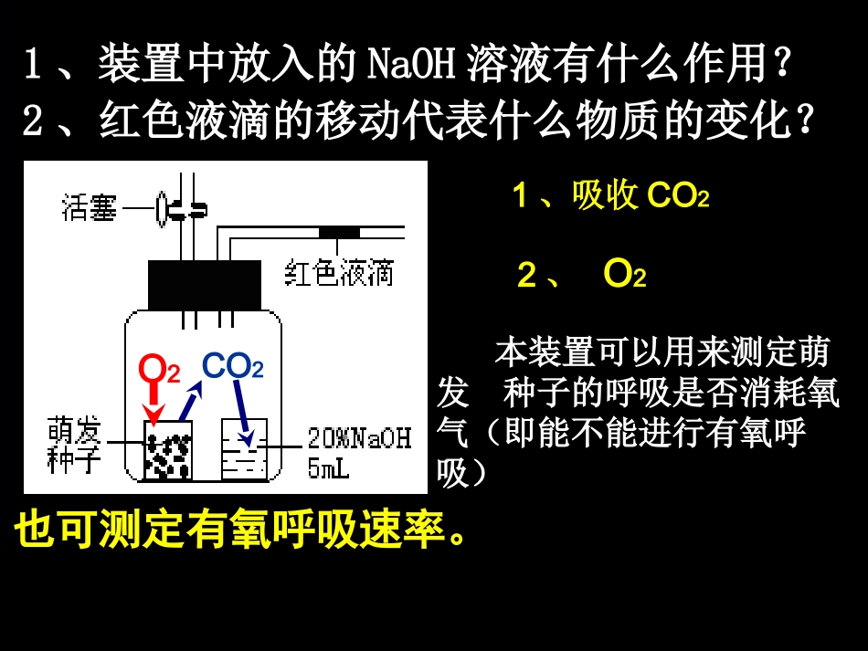 细胞呼吸方式的判断.ppt_第2页