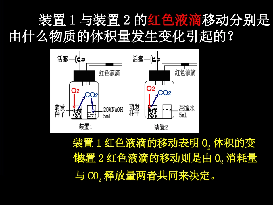细胞呼吸方式的判断.ppt_第3页