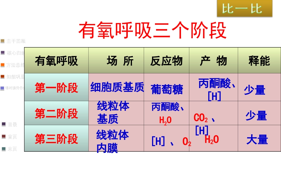 细胞呼吸适合一轮复习自己做的公开课.ppt_第2页