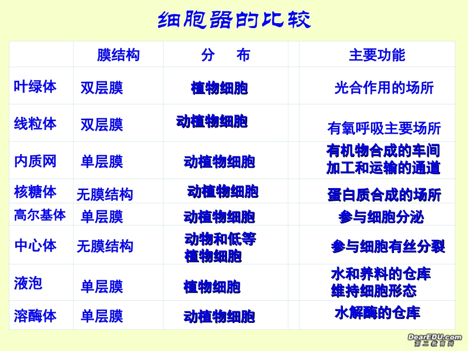 细胞器的协同合作-新课标-人教版.ppt_第2页