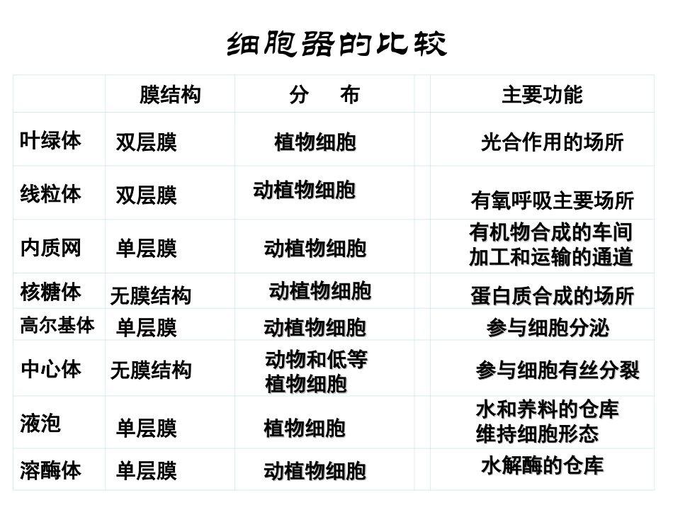 细胞器的协同合作.ppt_第2页