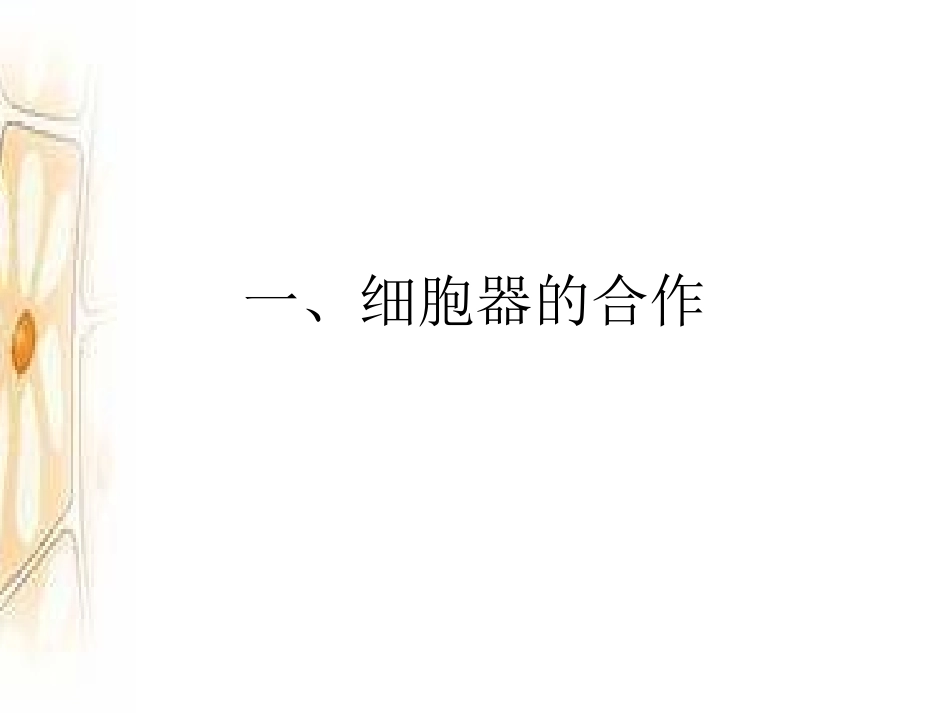 细胞器的合作和细胞核.ppt_第2页