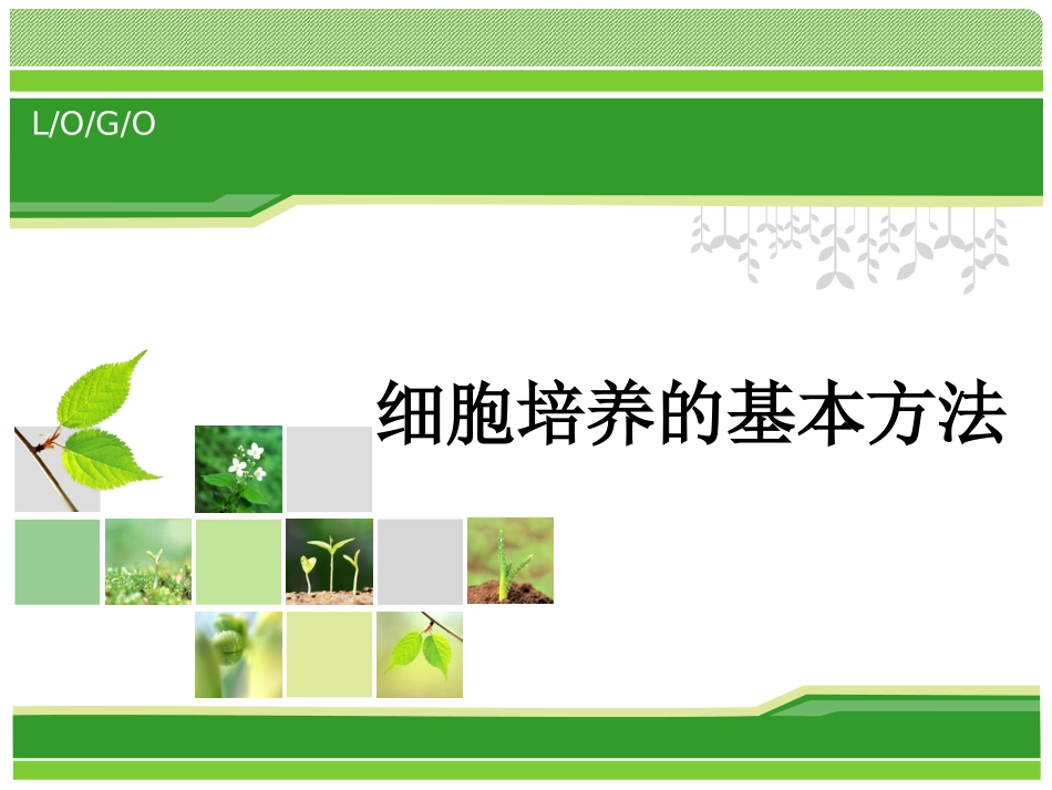 细胞培养的基本方法.ppt_第1页