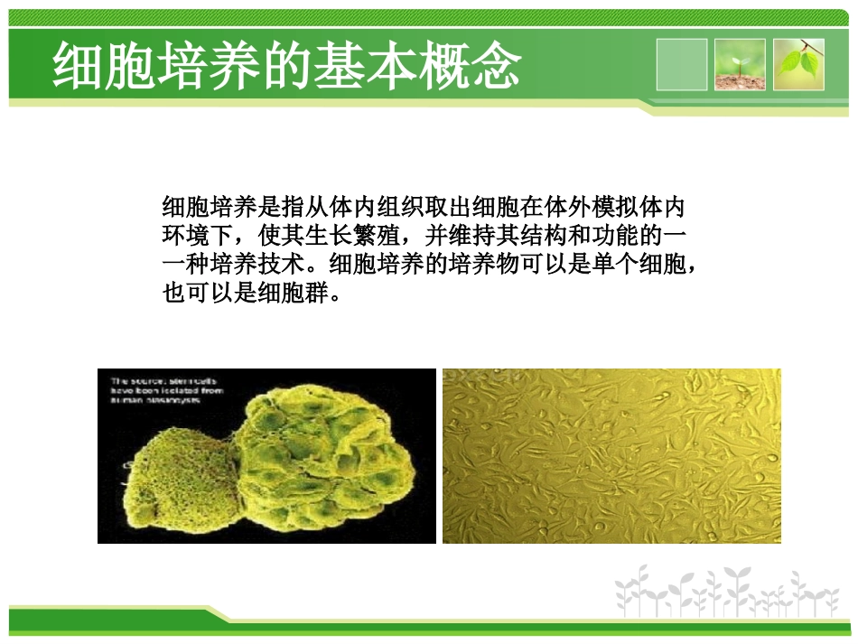 细胞培养的基本方法.ppt_第2页