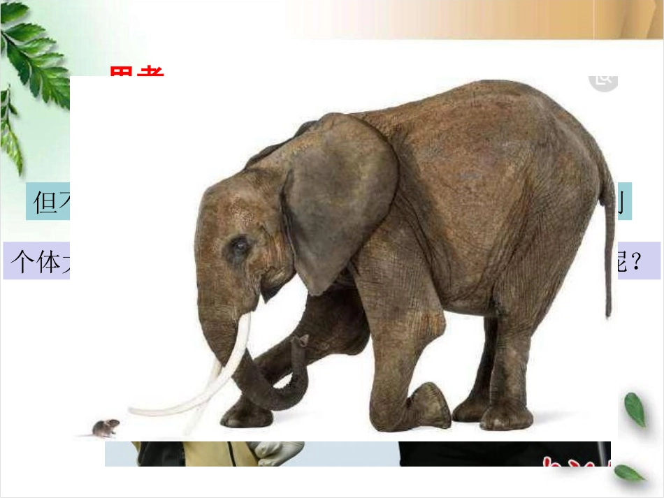 细胞增殖6.1-1.ppt_第2页