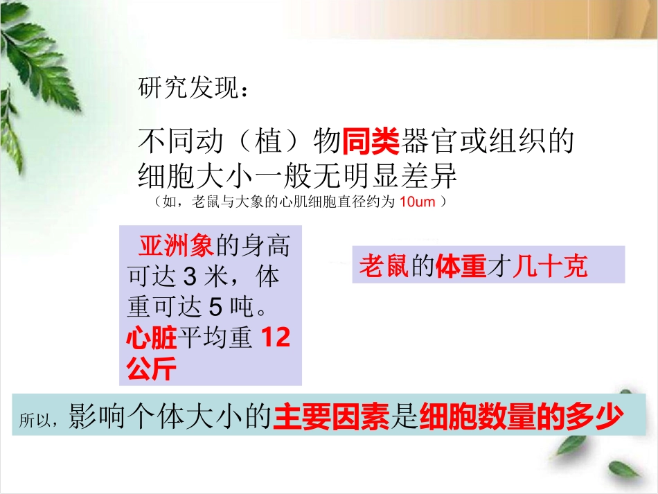 细胞增殖6.1-1.ppt_第3页