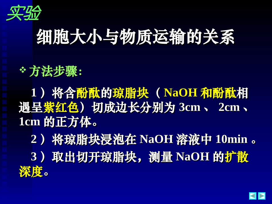 细胞增殖.ppt_第3页