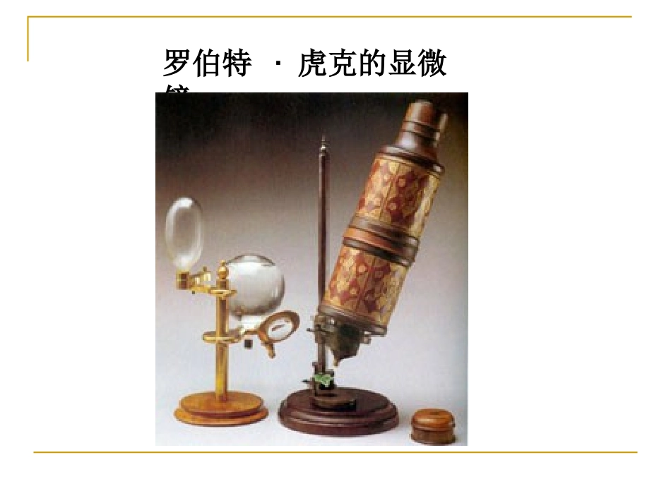 细胞学-建立过程综述.ppt_第3页