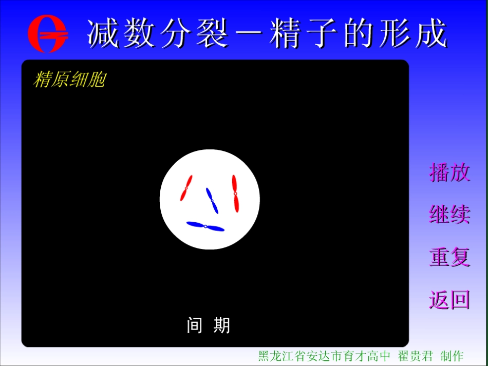 细胞有丝分裂、无丝分裂动画(下载后才可观看).ppt_第3页