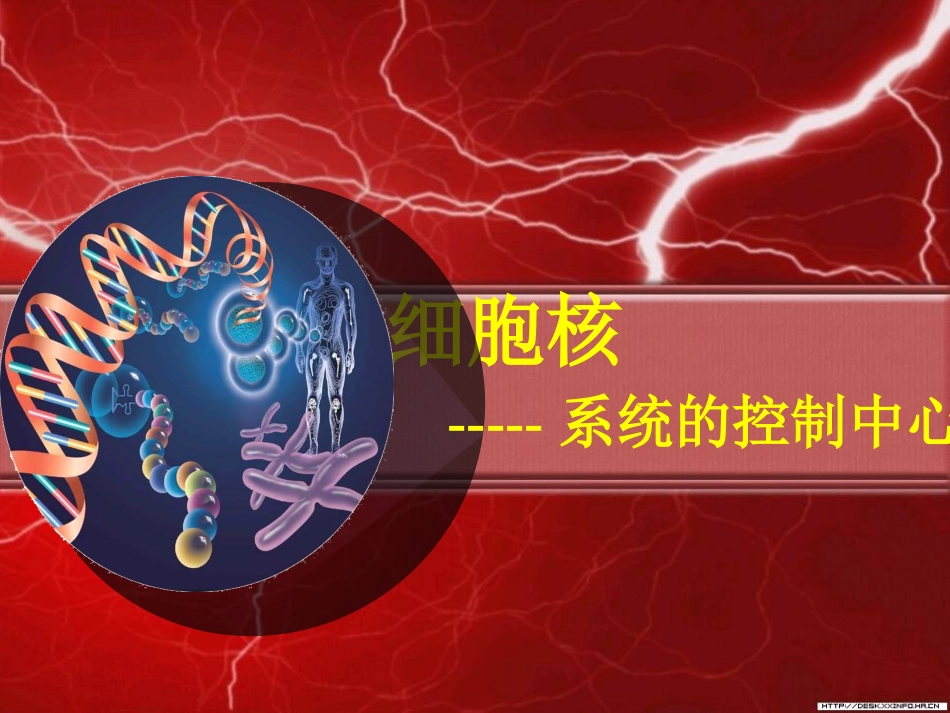 细胞核--系统的控制中心.ppt_第1页