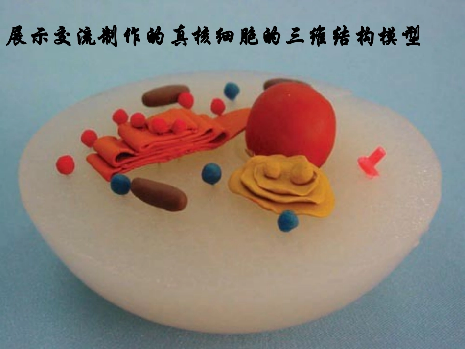 细胞核--系统的控制中心.ppt_第2页