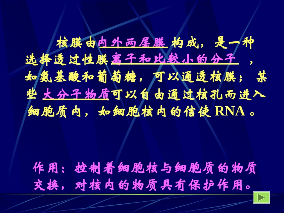 细胞核结构和功能.ppt_第3页