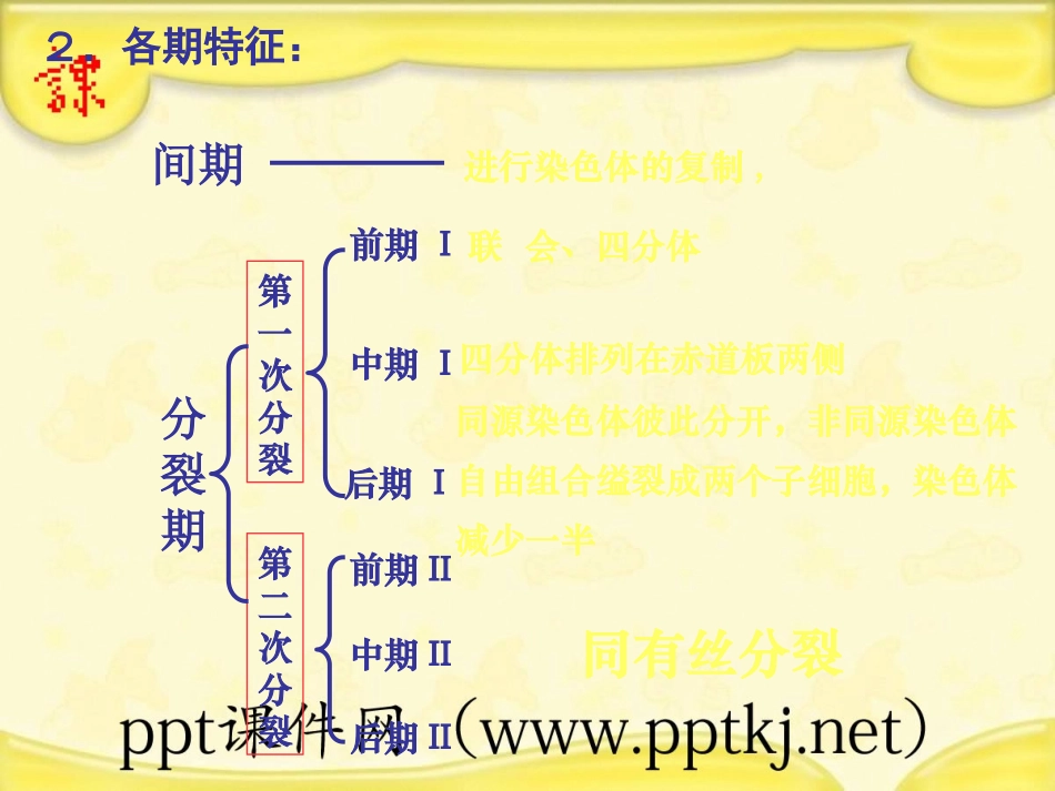 细胞的减数分裂.pptx_第3页