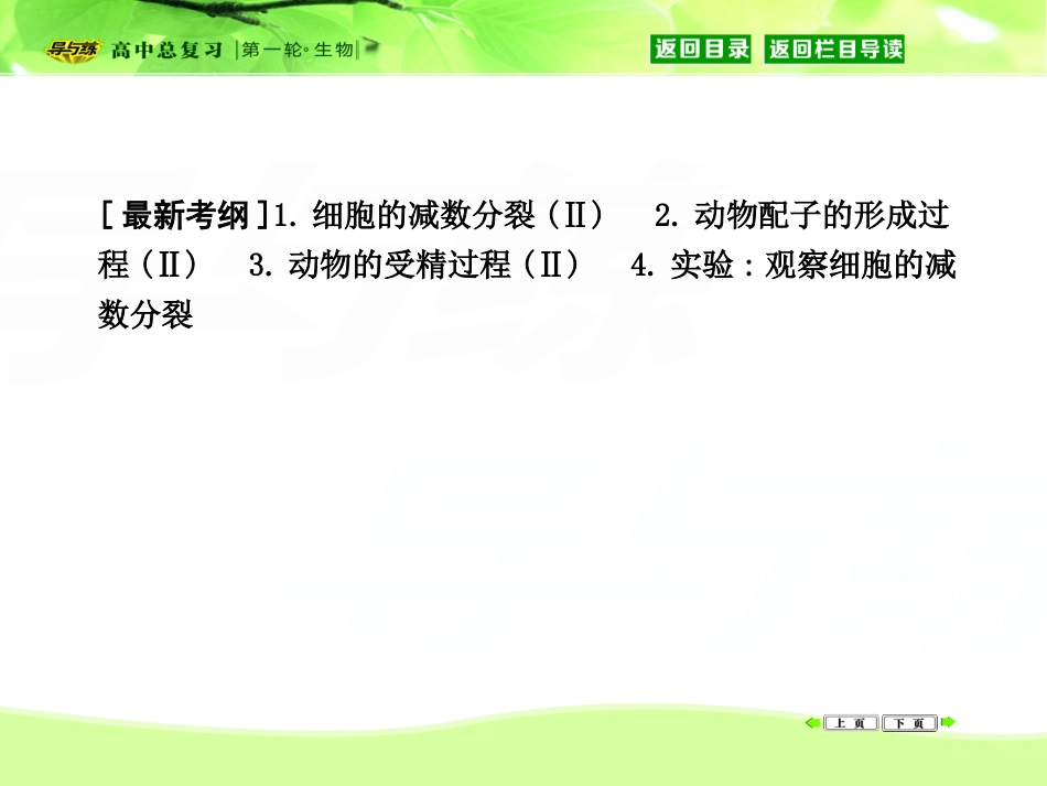 细胞的减数分裂.ppt_第2页