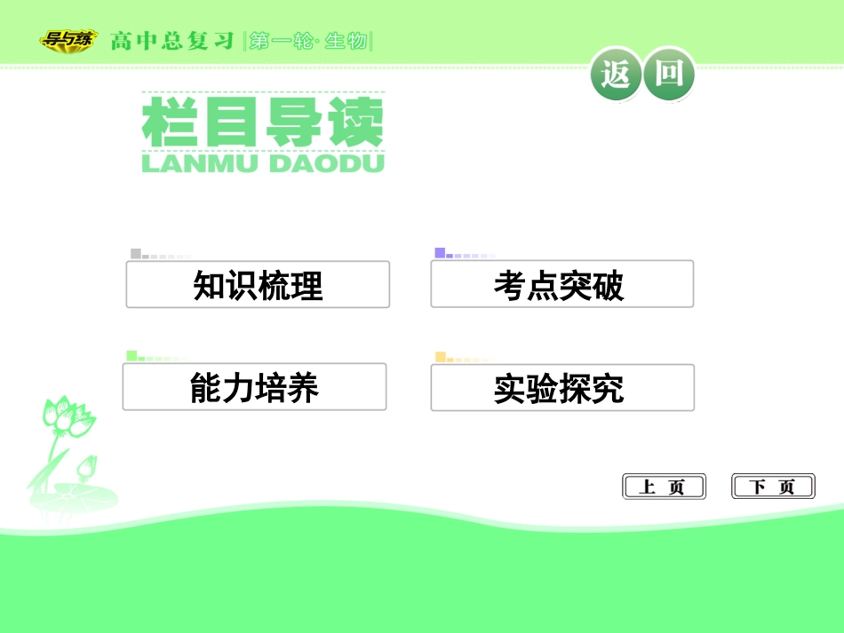细胞的减数分裂.ppt_第3页