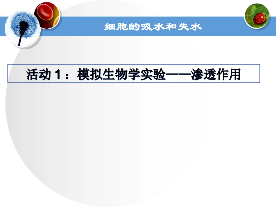 细胞的吸水和失水.ppt_第2页