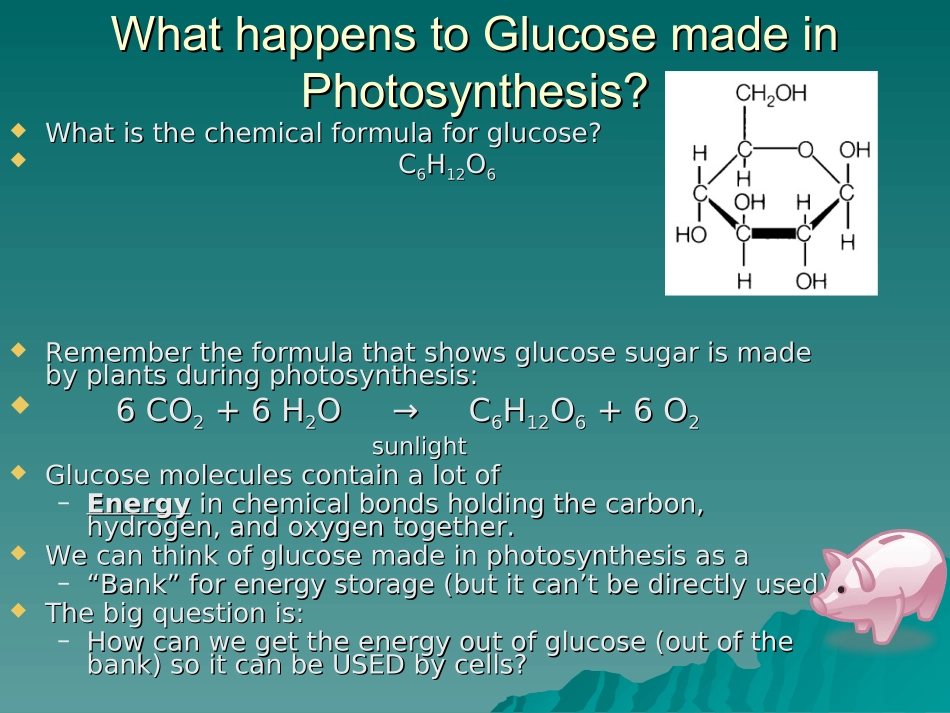 细胞的呼吸(Cellular-Respiration).ppt_第1页