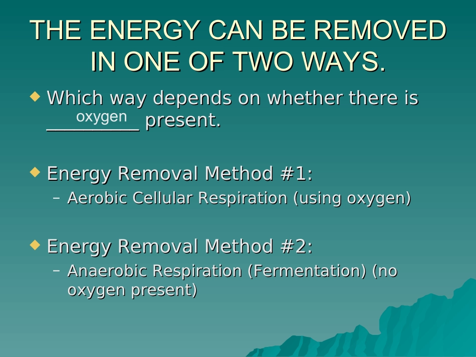 细胞的呼吸(Cellular-Respiration).ppt_第2页