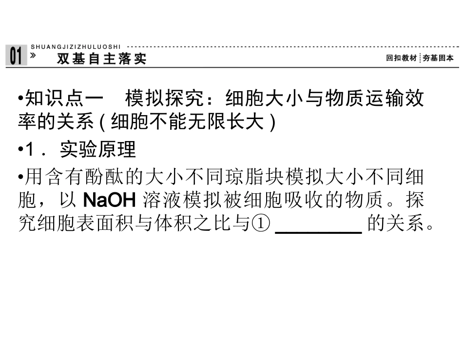 细胞的增值.ppt_第3页