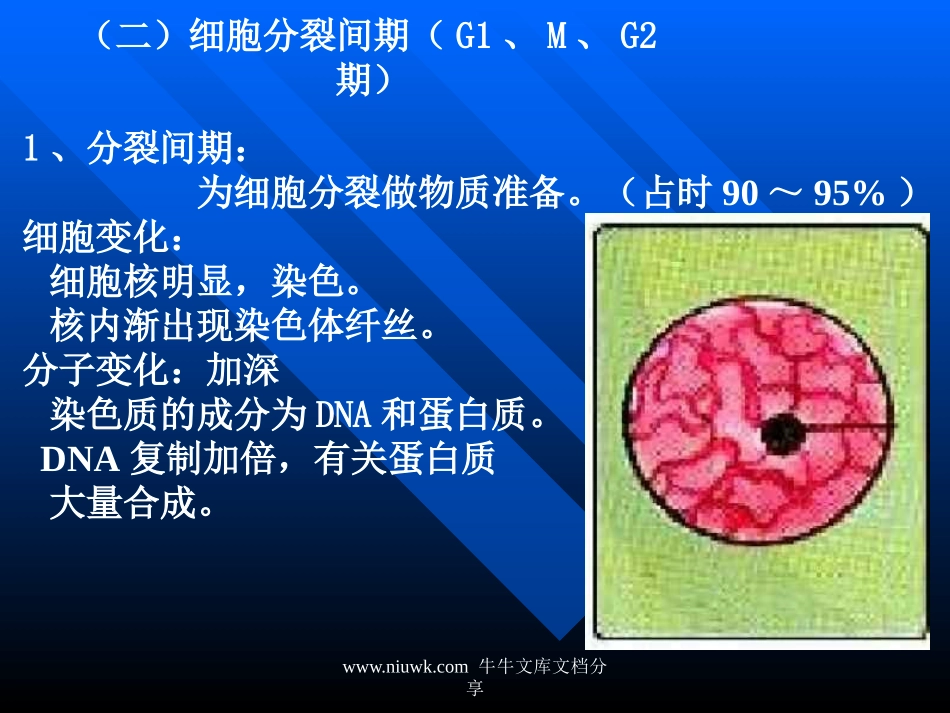 细胞的增殖.pptx_第1页